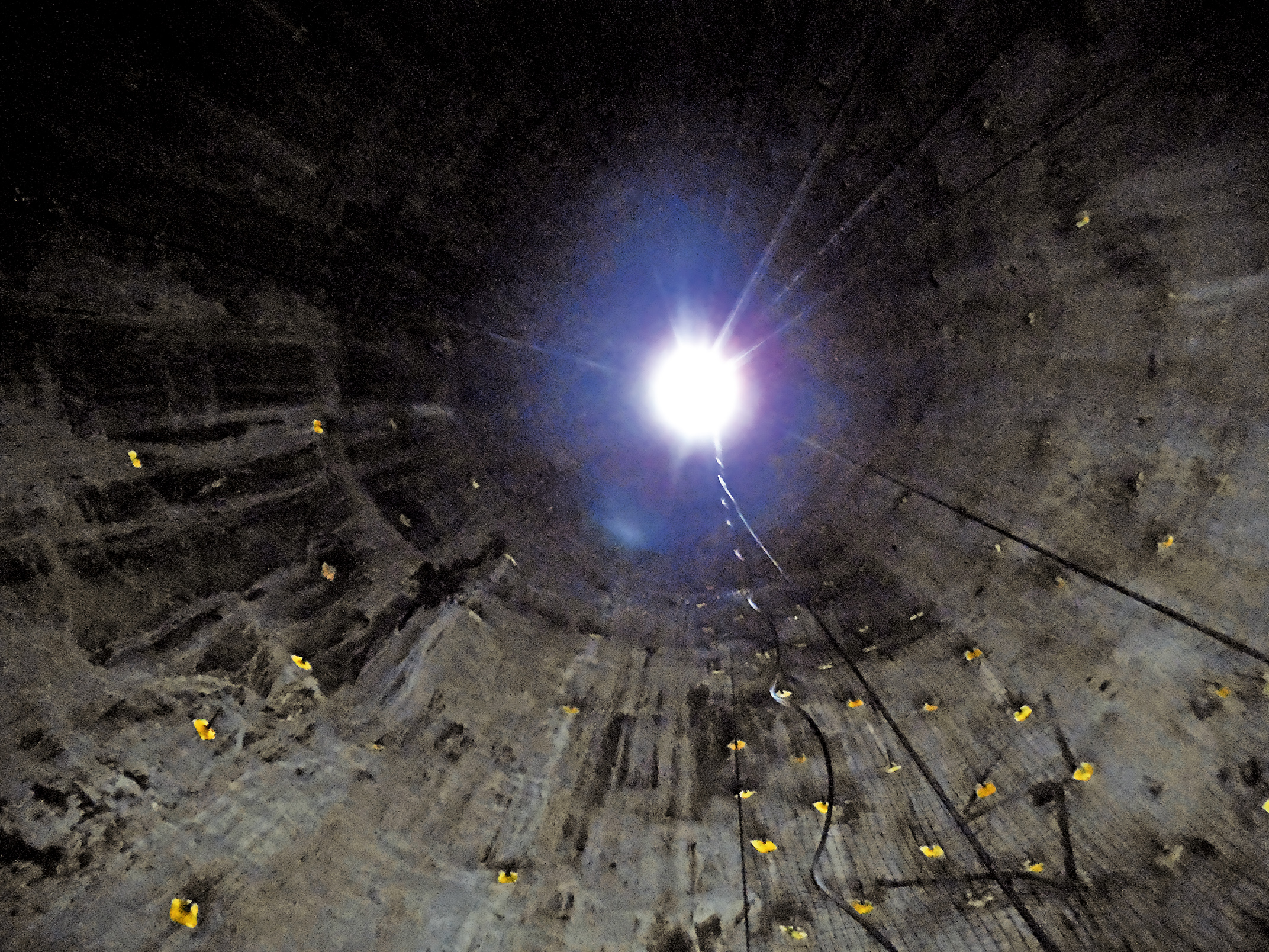 DSI Rock Bolts stabilize Excavation in historic Mine: Rehabilitation of the Rayas Shaft DSI Rock Bolts stabilize Excavation in historic Mine: Rehabilitation of the Rayas Shaft