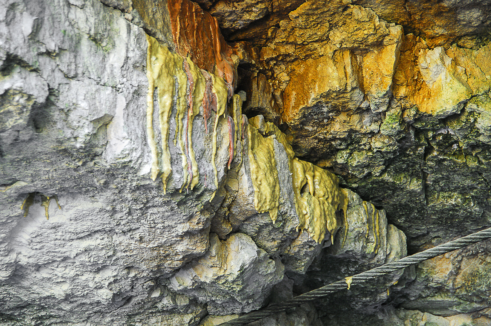 A safe Home for Bats: DSI Schaum Chemie stabilizes Nature Reserve in Poland A safe Home for Bats: DSI Schaum Chemie stabilizes Nature Reserve in Poland