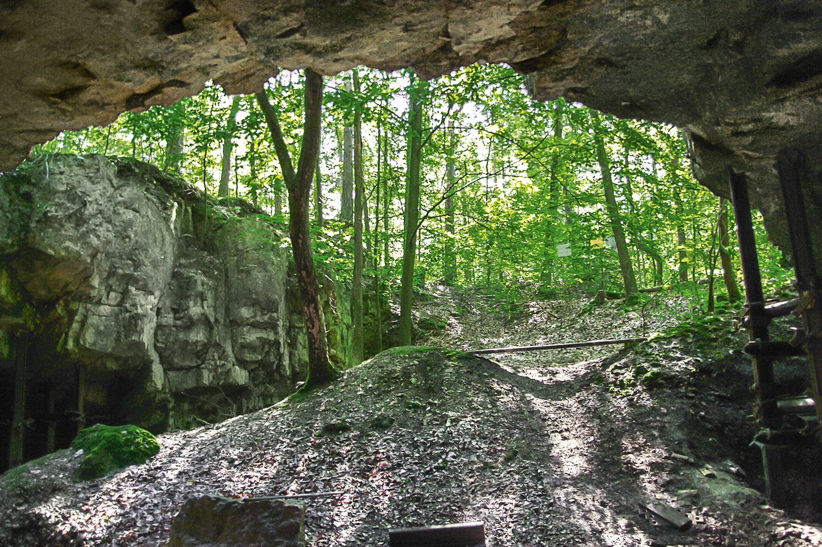 A safe Home for Bats: DSI Schaum Chemie stabilizes Nature Reserve in Poland A safe Home for Bats: DSI Schaum Chemie stabilizes Nature Reserve in Poland